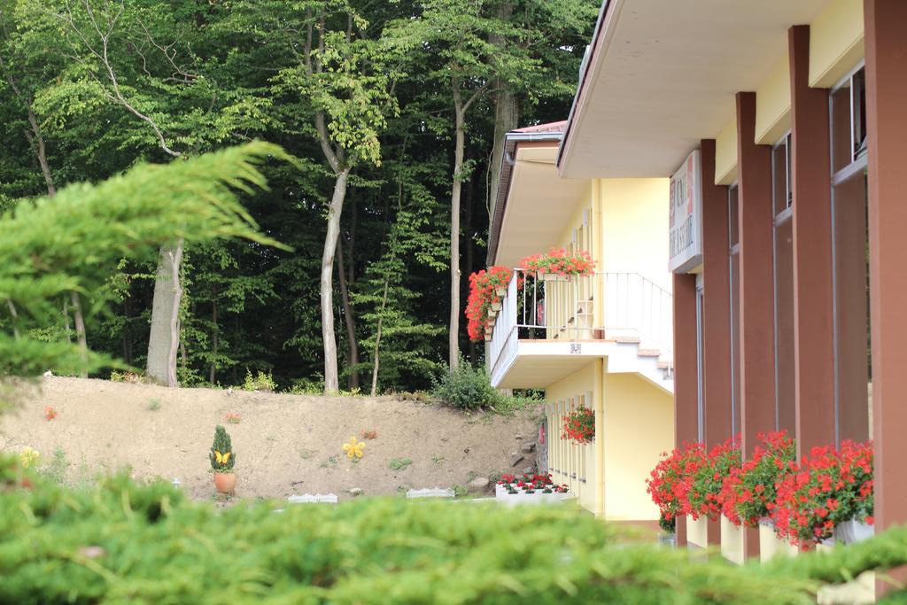 Hotel Drive In Motel Capellen Экстерьер фото